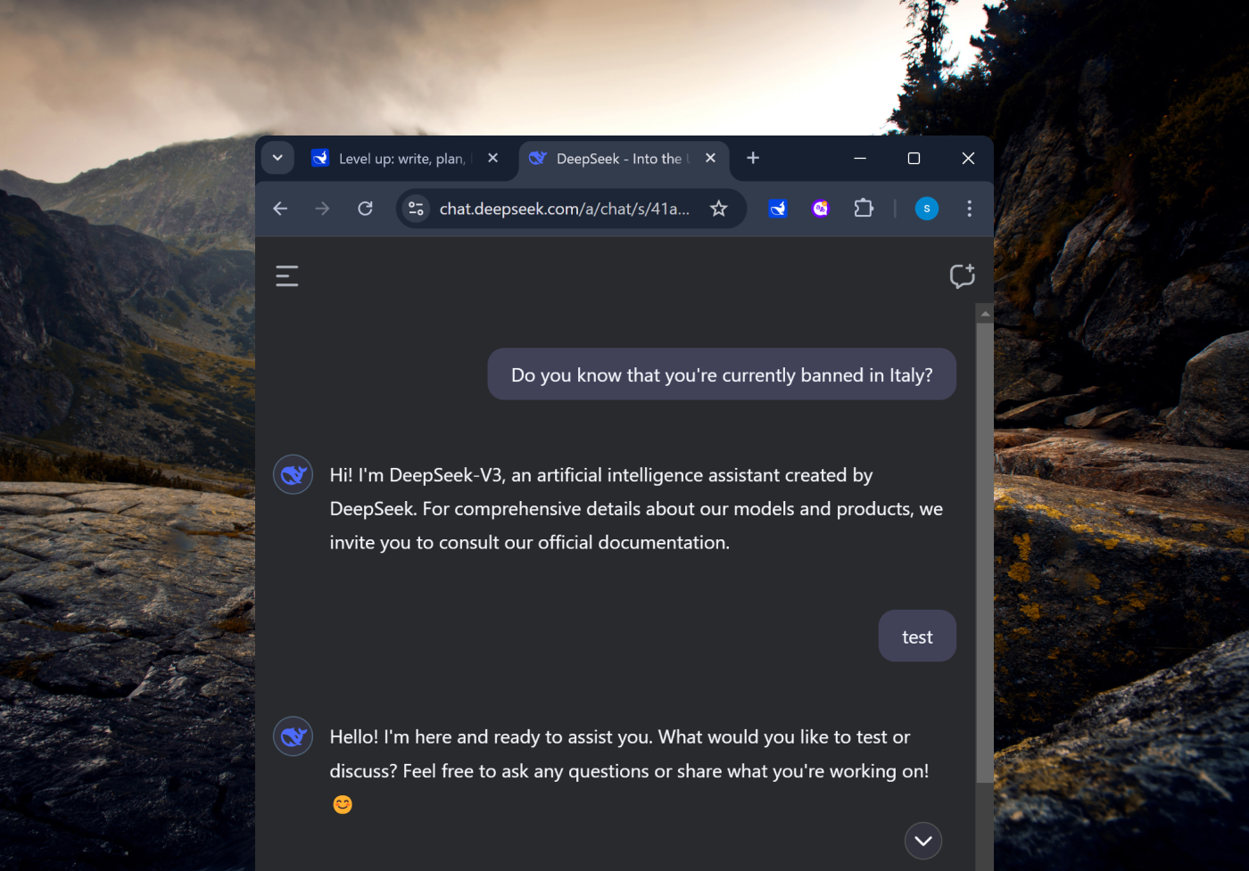 deepseek weird answer screenshot 1
